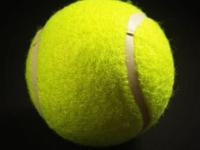 莎拉波娃连续五场比赛得分超过势不可挡，塞尔维亚队挑战极限！