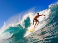 羽毛球赛场焦点！克罗地亚队对阵荷兰队，爆冷逆转，黑马强势击败劲敌