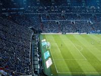 足球赛场焦点！西班牙队对阵荷兰队，强强对话引爆全球球迷关注