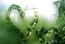 布雷斯特球队表现可圈可点，积极备战下场比赛的简单介绍